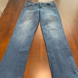 American Eagle Favorite Boyfriend 14 Long